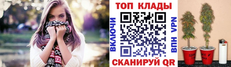 Как найти наркотики Тетюши Галлюциногенные грибы  МЕГА ТОР  Канабис  МЕФ 