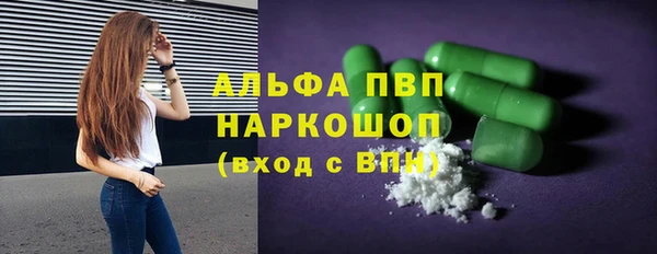 стаф Абинск
