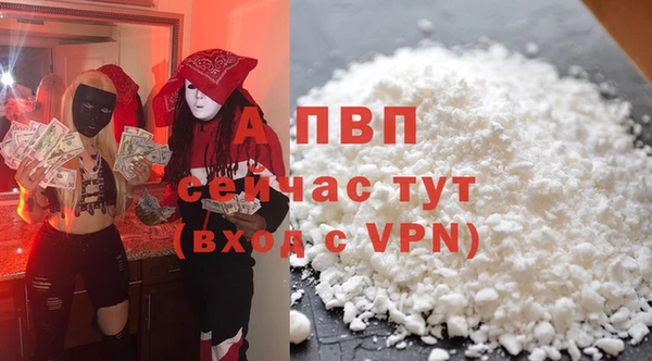 стаф Абинск