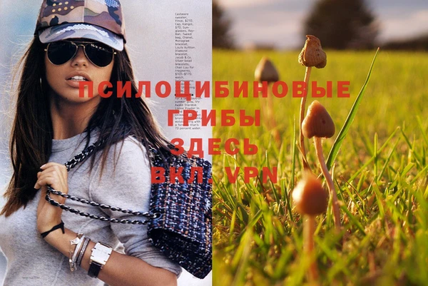 стаф Абинск